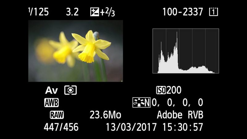 PCA exercise best exposure getting-the-best-exposure-reviewing-histogram-french copy