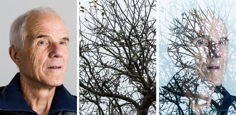 Un'immagine a esposizione multipla creata da una foto di un uomo anziano combinata con uno scatto di rami di alberi spogli con il cielo sullo sfondo.