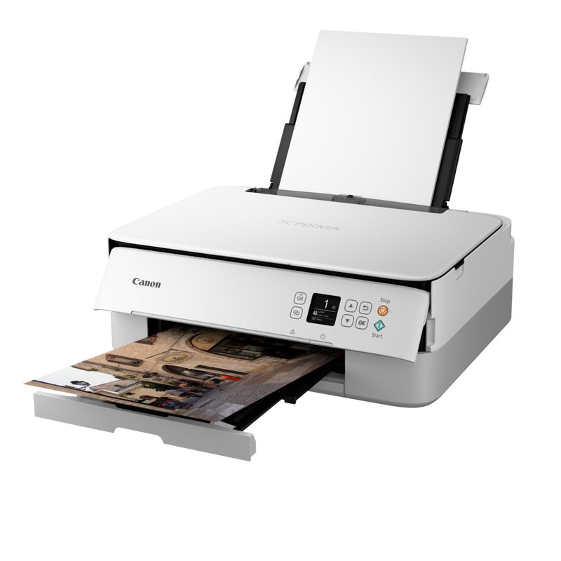Canon Serie PIXMA TS5350a