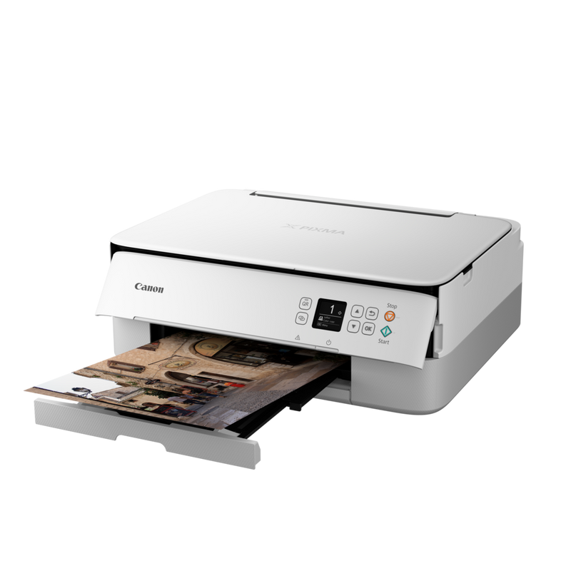 Canon Serie PIXMA TS5350a
