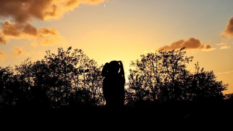 The silhouette of a pigtailed girl at sunset, beneath a lightly clouded sky and surrounded by trees.