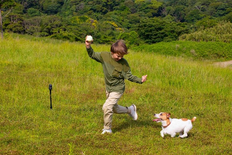 Мальчик бегает на улице с собакой, а на заднем плане на штативе стоит камера Canon PowerShot PX.