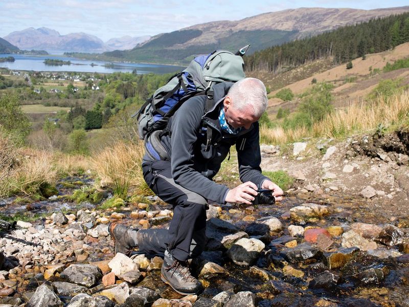 Discover the PowerShot SX740 HS Lite Edition