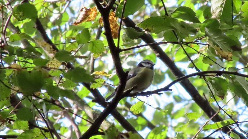 Zaručený astabilní pohled. Pokaždé