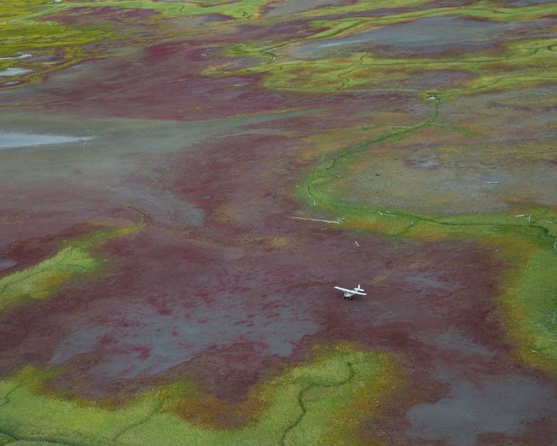 An aerial photograph of a bush plane, looking small, on green and brown expanses of Alaskan landscape.  