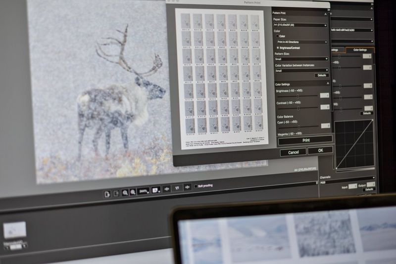 A reindeer image by photographer Hanneke Van Camp is shown in the Canon Professional Print & Layout Pattern Print display on her monitor.