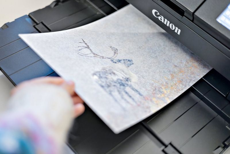 Hanneke Van Camp collects one of her prints from the tray of the Canon imagePROGRAF PRO-310 A3+ printer.