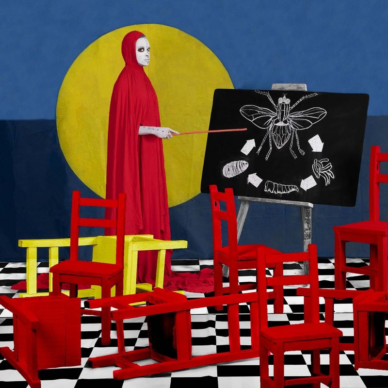 Une femme vêtue d'une longue cape rouge à capuche et le visage peint en blanc se tient debout à côté d'un tableau noir et pointe une illustration du cycle de vie d'une mouche.