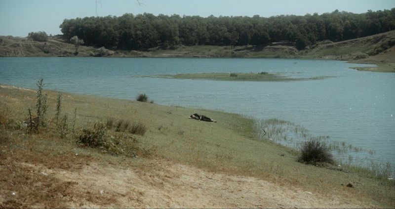 A still from the music video for Minstrel's song Back to Where You've Never Been, showing a man in a suit lying on a grassy landscape next to a body of water. Shot on a Canon EOS C500 Mark II by Canon Ambassador Çağla Çağlar.