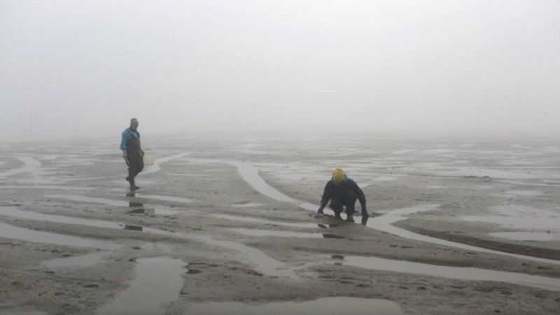 pro-ambassador-chiara-negrello-showreel.mp4