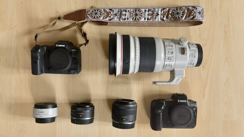 Dani Connor's kitbag containing Canon cameras, lenses and accessories.