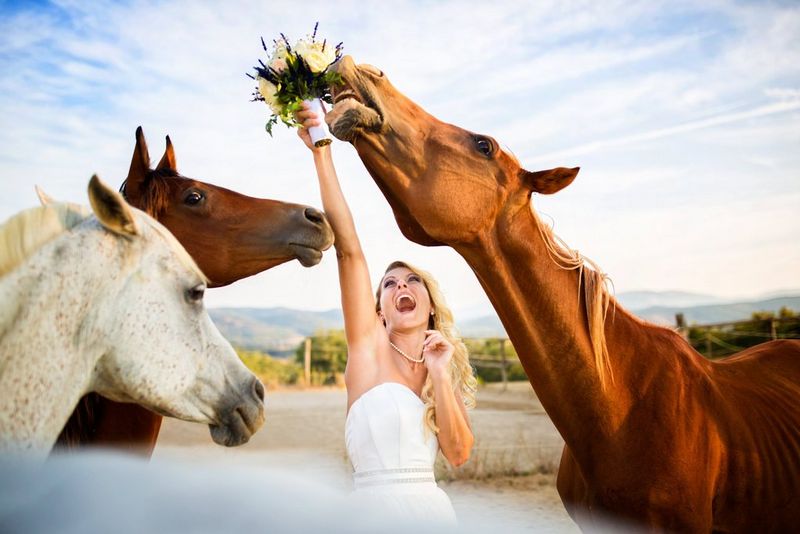 A bride smiling and holding her bouquet in the air. She is surrounded by three horses, one of which is leaning in to eat the flowers. 
