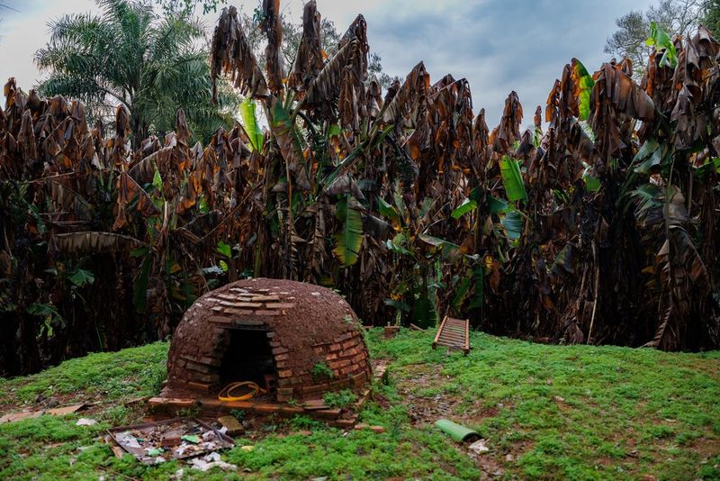 A small hut made of bricks and mud sits in a clearing, with brown, withered-looking tropical plants in the background and a ladder and broken bits of pipe lying on the ground nearby.