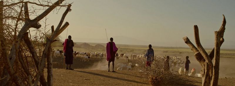 Des éleveurs masaï s'occupant de leur bétail dans les plaines poussiéreuses. Image tirée de Sentinels of Engaruka de Hans Ngoteya.