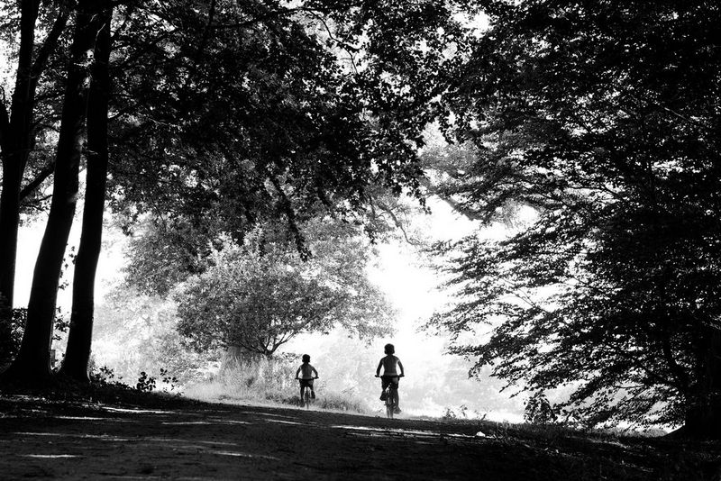 A black and white image of two children in the distance riding bikes through a forest.