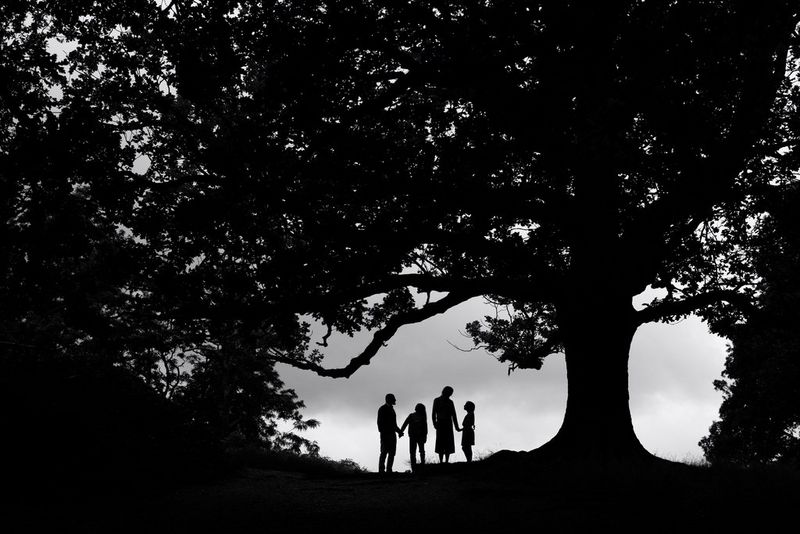 A black and white portrait of a family group in silhouette, framed by the branches of a large tree.