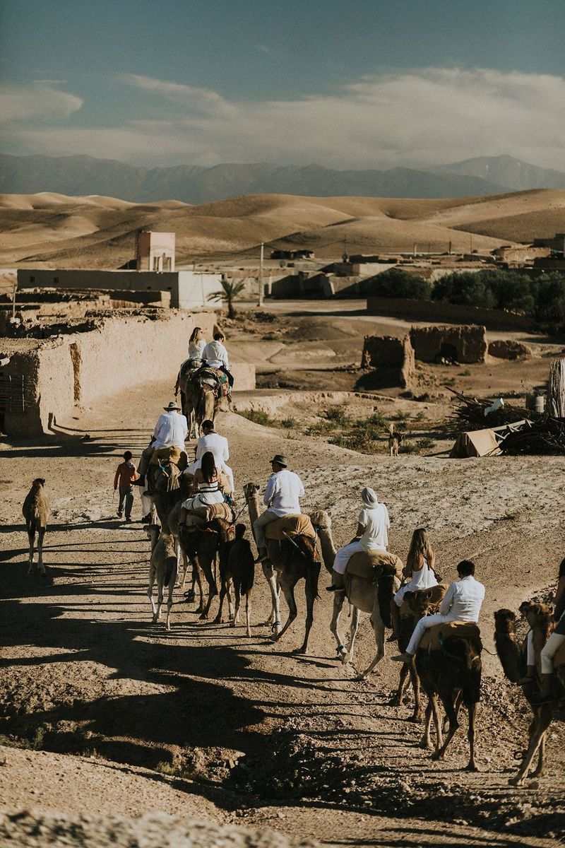 Wedding guests process in a line through a desert landscape on the back of camels. Taken by Igor Demba.