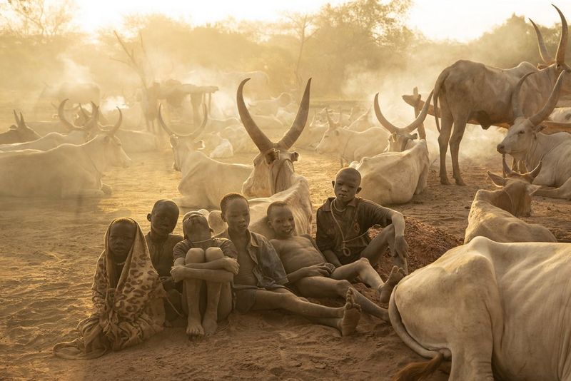 A group of children from the Mundari tribe resting against the back of a seated long-horned cow and surrounded by other cattle.