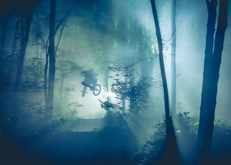 A BMX rider jumps through a misty forest in Berlin, Germany.