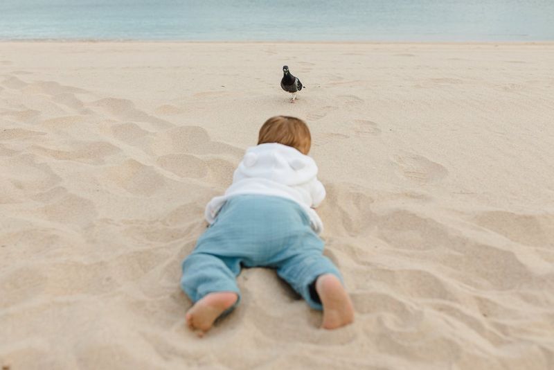 A baby crawls across a beach towards an inquisitive pigeon. While the child is slightly out of focus, the bird is crystal clear. Taken on a Canon EOS R by Marisa Martins.