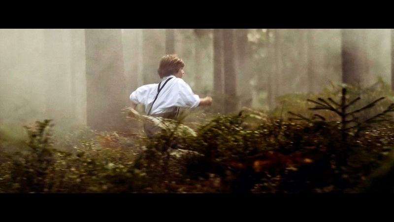 Image tirée d'un court métrage du chef Jure Dretnik, montrant un jeune garçon courant dans les bois. Photo prise par l'ambassadeur Canon Matic Borković avec un Canon EOS R.