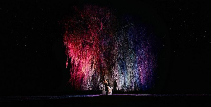A bride and groom standing beneath a large weeping tree, its branches illuminated by red, blue and purple lights. Taken on a Canon EOS 5D Mark IV by Raïs De Weirdt. 