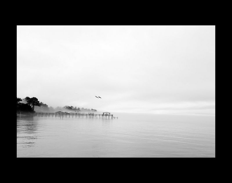 Un brouillard bas plane au-dessus d'une jetée alors que deux oiseaux prennent leur envol dans cette image de paysage en noir et blanc.