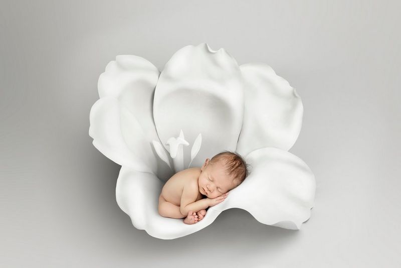 A baby curls up asleep inside a large white flower in a photograph by Kelly Brown taken on a Canon EOS R5.