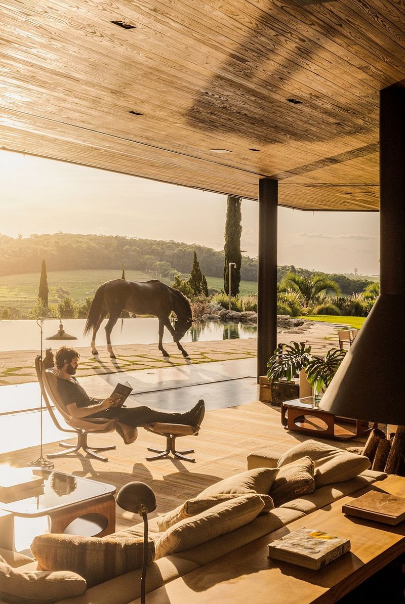 A figure reclines in a chair undercover with a horse and landscape in the background.