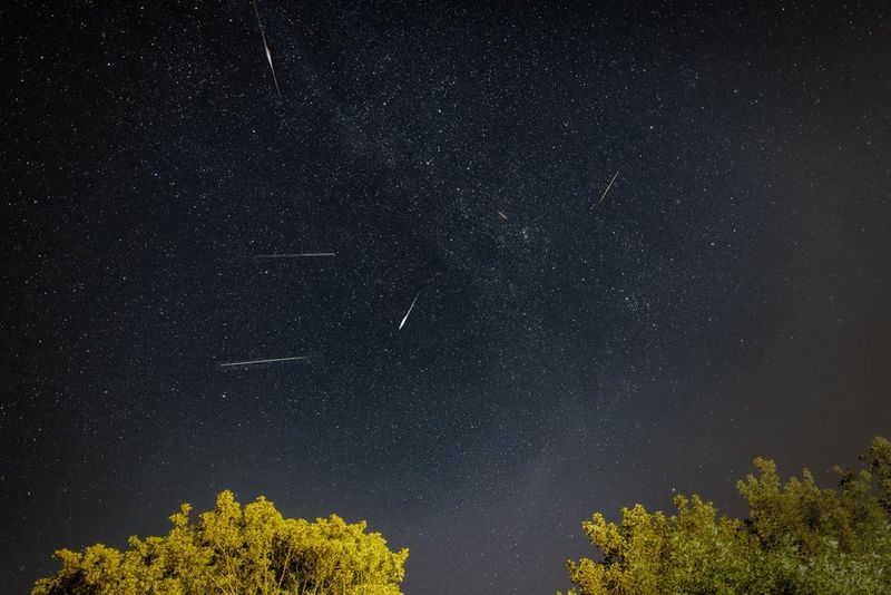 A long-exposure image of a star-filled sky with several meteor trails, all visible above treetops. Taken with a Canon RF 15-35mm F2.8L IS USM lens.