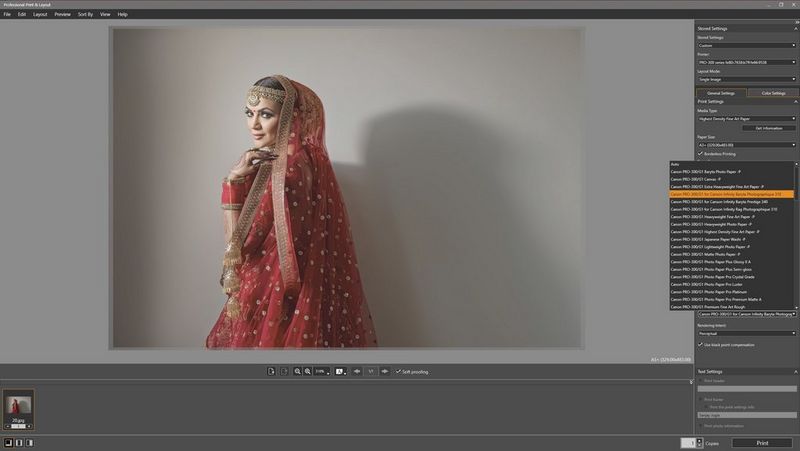 An image of a young woman in traditional Indian wedding attire displayed in Canon Professional Print & Layout software.