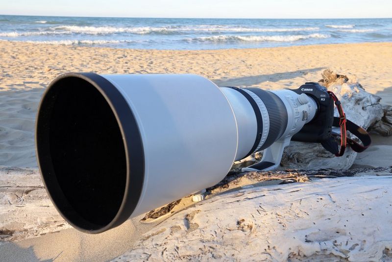 A Canon EOS R3 with a Canon RF 600mm F4L IS USM lens attached resting on a piece of driftwood on a sandy beach.