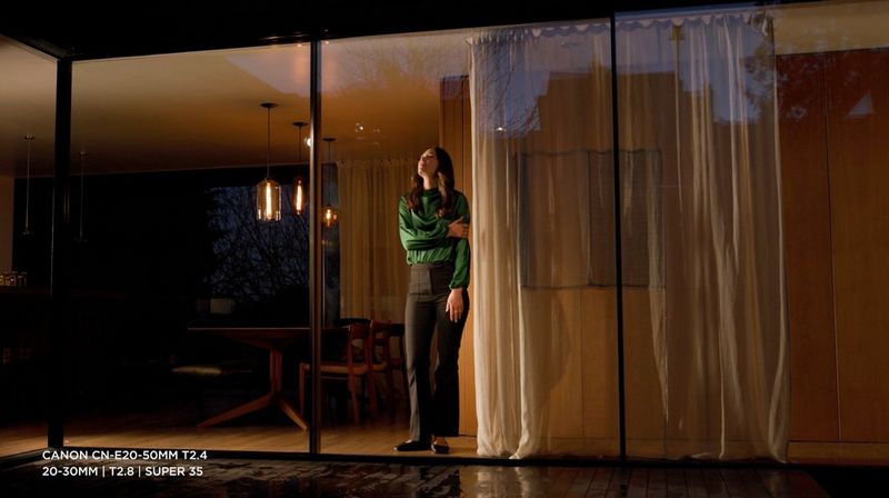 A woman in a green silk shirt and black trousers stands behind sliding glass doors at twilight. 