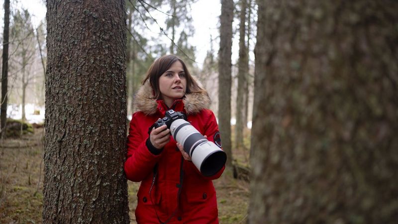 Expert techniques for better wildlife photography