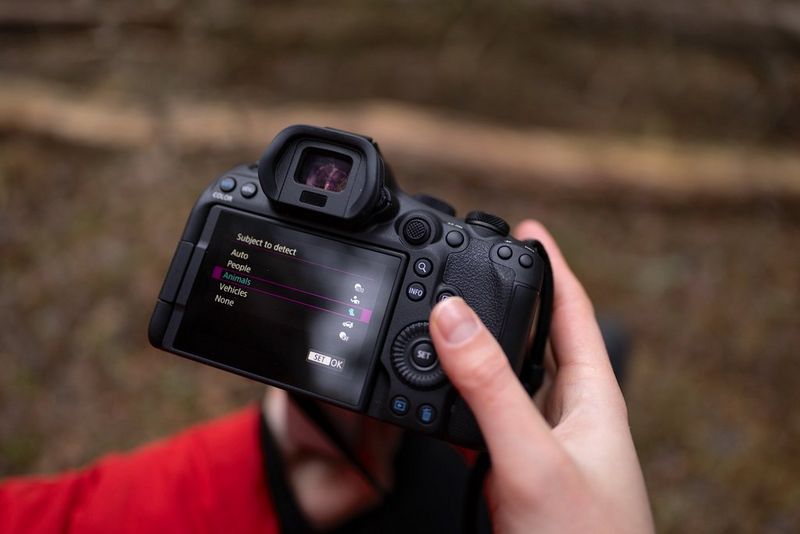 Dani Connor sets the autofocus to detect animals on a Canon EOS R6 Mark III.