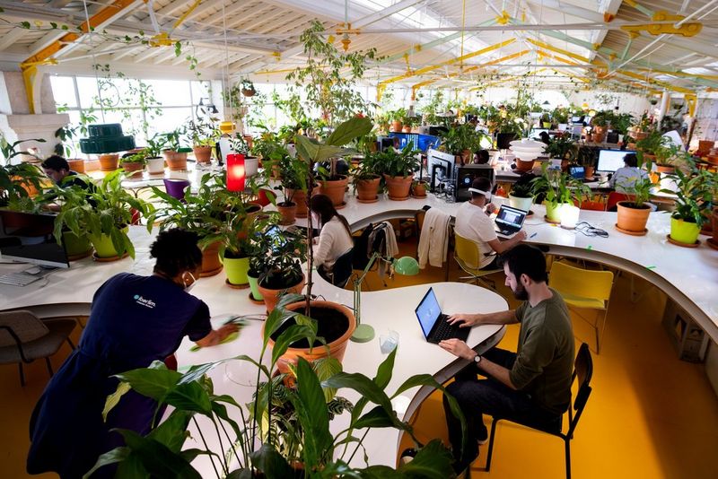 A large curving table fills most of a room, covered in green plants in plant pots, with people sitting working on laptops around the plants.