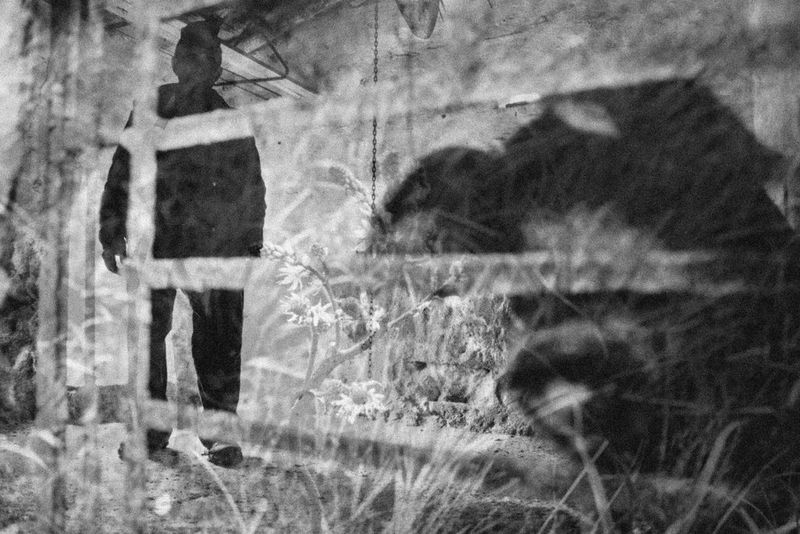 A black and white double exposure of the silhouette of a man standing behind a fence and a field of wildflowers.