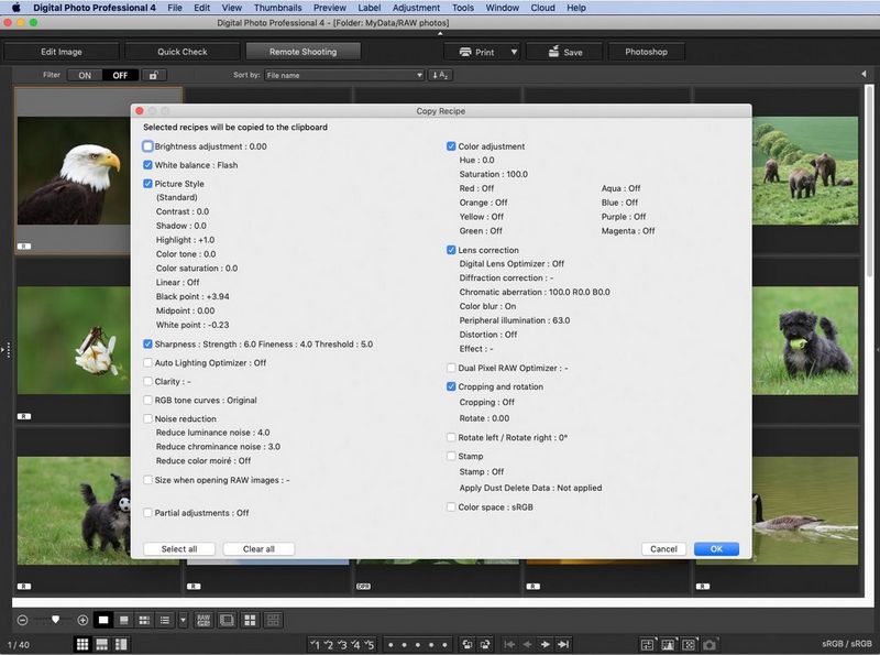 La finestra Copia procedura del software DPP di Canon mostra le impostazioni che possono essere incluse o meno nella Procedura.