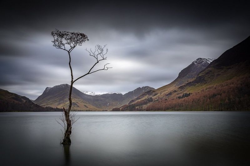Gardé par des montagnes rocheuses aux sommets enneigés, un arbre immobile se dresse seul dans un grand lac à Buttermere, dans le Lake District. Photo prise avec un appareil Canon.