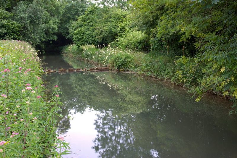 Le fleuve Axe est immobile, entouré d'arbres verts et touffus, de fleurs roses et de feuillages. Photo prise avec un appareil Canon.