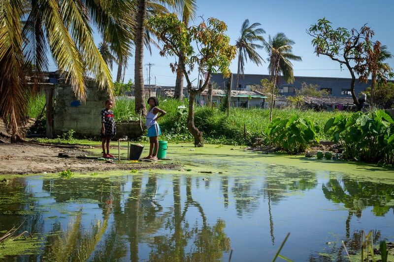 Два ребенка стоят рядом с покрытой водорослями рекой в окружении пальмовых деревьев.