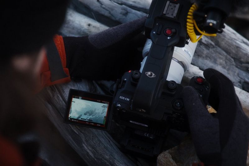 Daniel Ernst operates his Canon EOS C50, a snowy mountain view visible on the rear display.