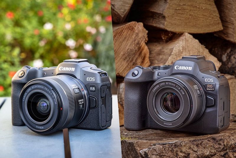 EOS R8 vs EOS R6 Mark II – full-frame face-off