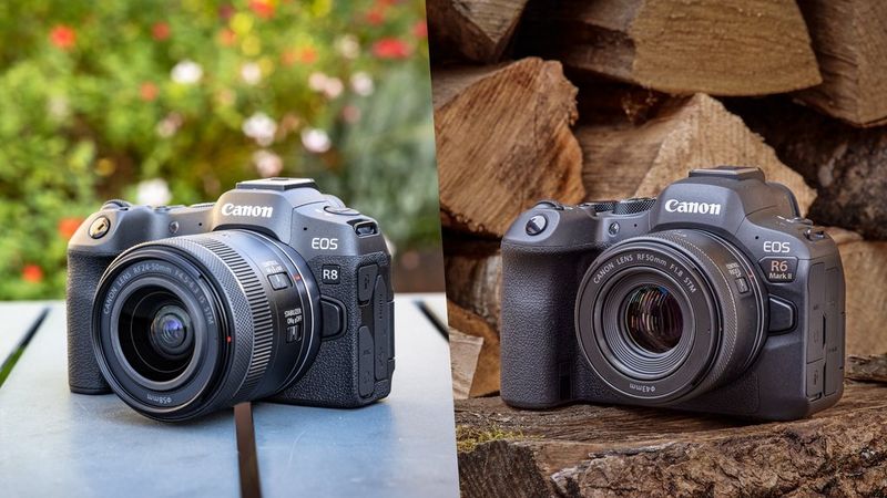 Links ligt een Canon EOS R8 op een tafel. Op de achtergrond is vervaagd groen te zien. Rechts ligt een Canon EOS R6 Mark II op een grof uitgehakt stuk hout. Op de achtergrond ligt een stapel houtblokken.