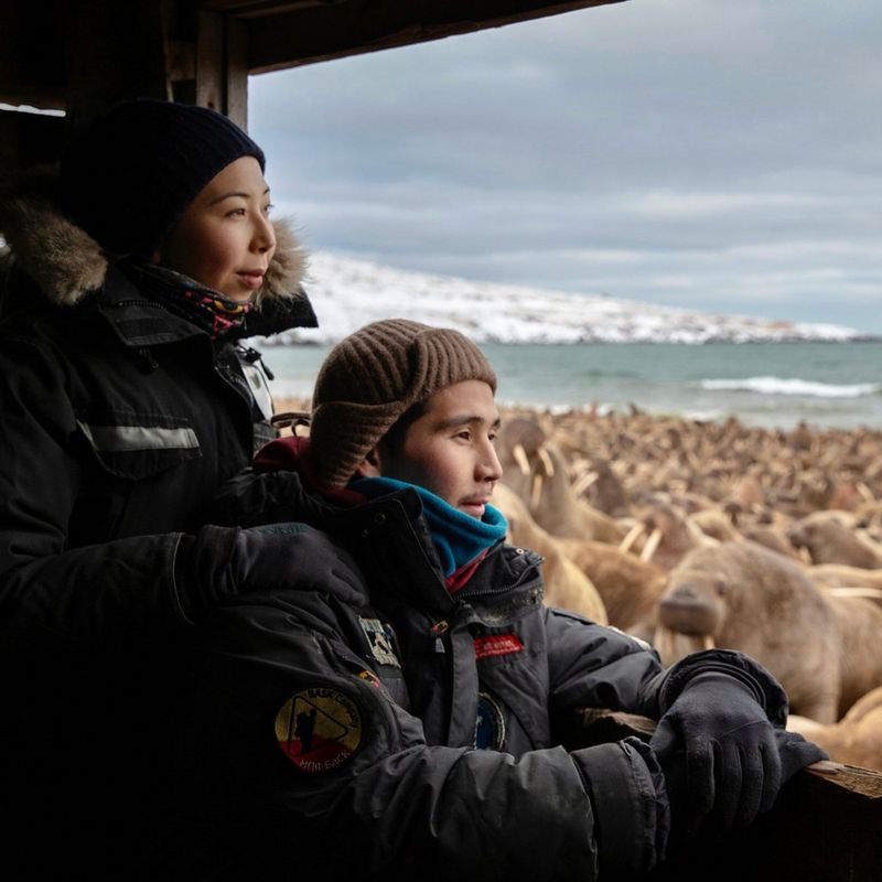 La filmmaker Evgenia Arbugaeva e suo fratello Maxim Arbugaev sono seduti accanto a una finestra e guardano un gran numero di trichechi sulla spiaggia, in una foto scattata con Canon EOS R5.
