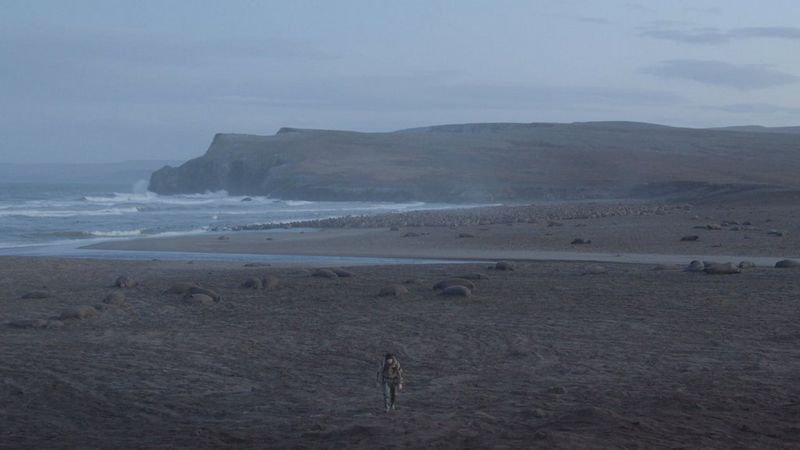 A still from Evgenia Arbugaeva's documentary Haulout, filmed on a Canon EOS R5, showing a man walking away from the bodies of multiple walruses on a beach, with the sea visible in the distance. 