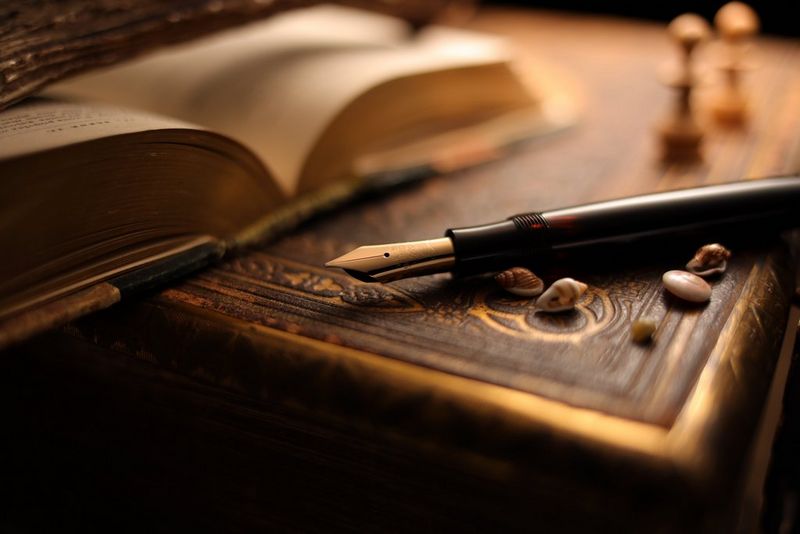 Een vulpen ligt op een in leer gebonden boek met schelpen ernaast. Op de achtergrond zijn vervaagd een opengeslagen boek en twee witte schaakstukken te zien.