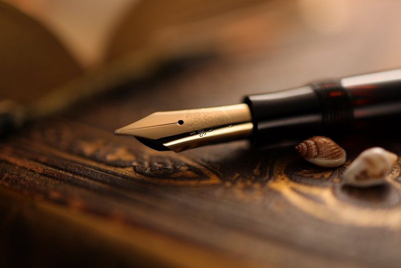 Een foto van dichterbij van een vulpen die ligt op een in leer gebonden boek met schelpen ernaast. De rest van het beeld is vervaagd.