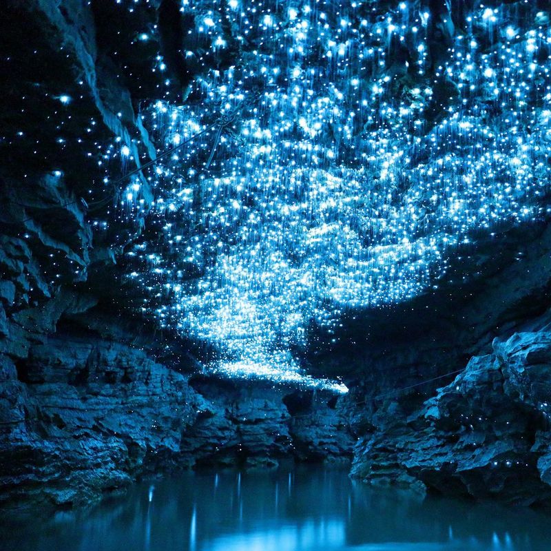 The interior of a flooded cave with thousands of stalactites illuminated by blue lights.