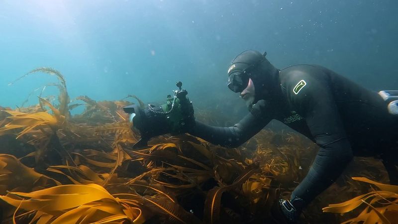 pro-filming-photographing-wildlife-video